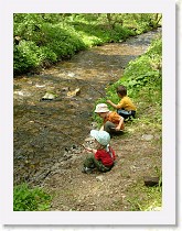 dscf1986 * 2136 x 2848 * (1.52MB)