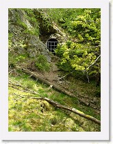 dscf1995 * 2136 x 2848 * (1.54MB)